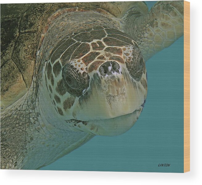 Loggerhead Turtle Wood Print featuring the digital art LOGGERHEAD SEA TURTLE cps #1 by Larry Linton