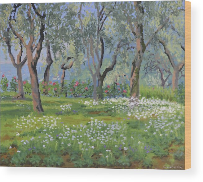 Olive Grove Wood Print featuring the painting Olive grove #1 by Constanza Weiss