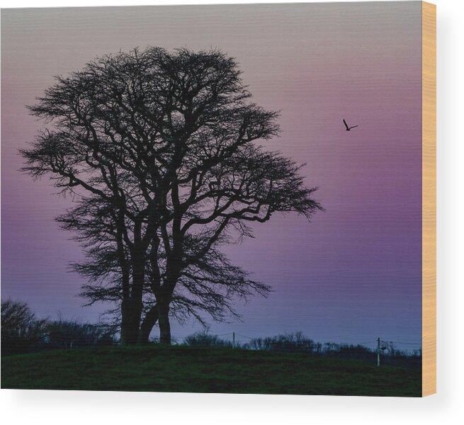Landscape Wood Print featuring the photograph Sundown by Cathy Kovarik