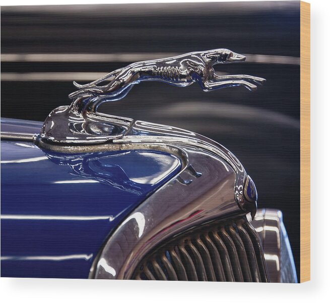1934 Ford Wood Print featuring the photograph 1934 Ford Greyhound Hood Ornament by Flees Photos