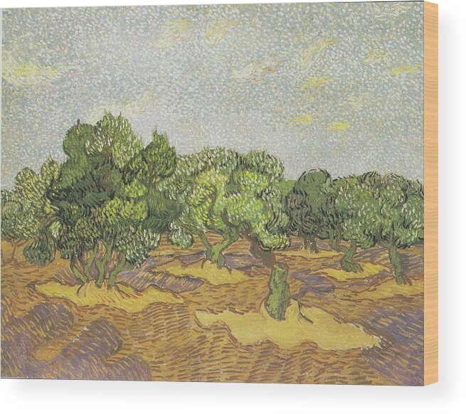 Olive Trees Wood Print featuring the painting Olive Trees #14 by Vincent van Gogh