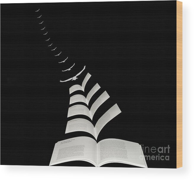 Photography Wood Print featuring the mixed media Reading gives you Wings #2 by Jim Hatch