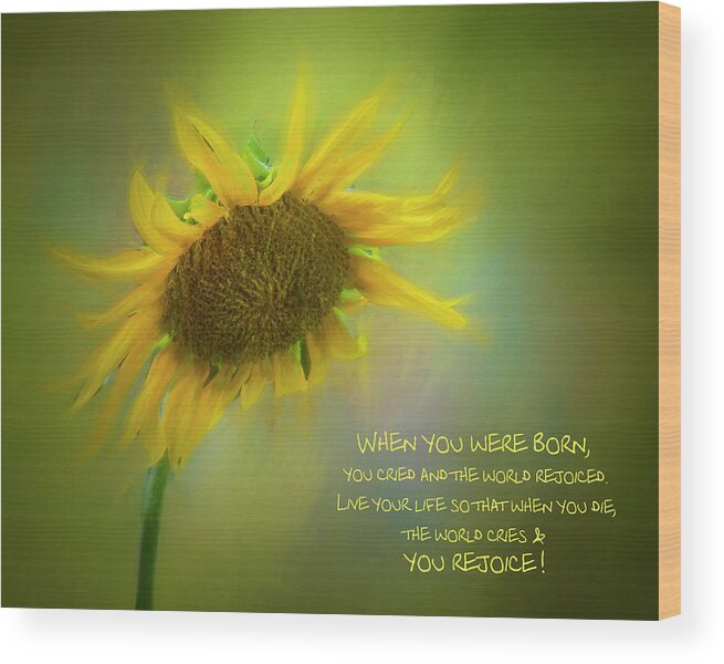 Sunflower Wood Print featuring the photograph Sunflower by Cathy Kovarik
