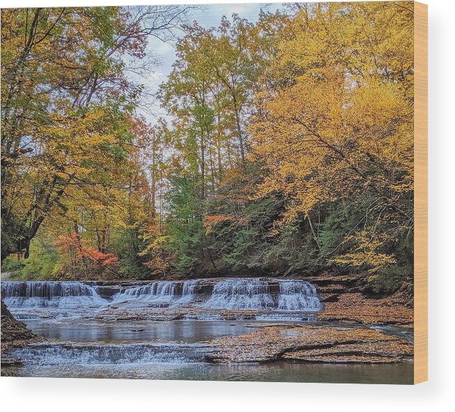  Wood Print featuring the photograph South Chagrin by Brad Nellis