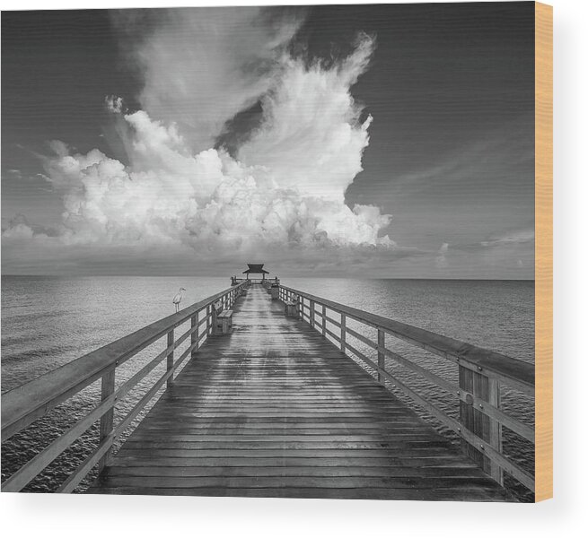 Beach Wood Print featuring the photograph 4249 by Bill Martin
