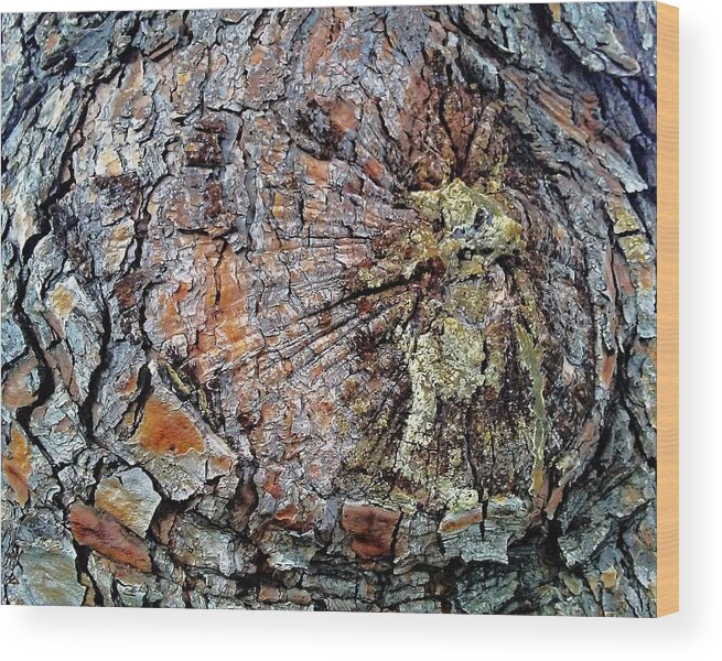 Tree Wood Print featuring the photograph A Pattern of Barking by Andrew Lawrence