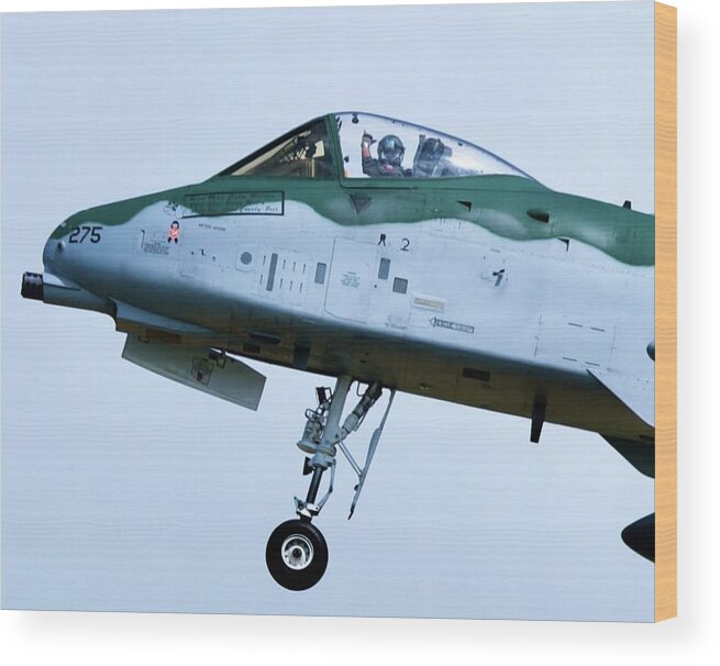 A10 Wood Print featuring the photograph Warthog Salute by Greg Hayhoe