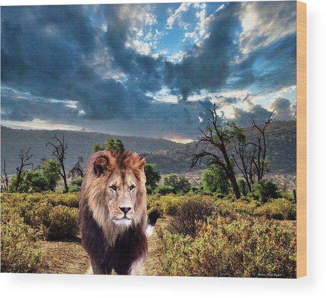 Africa Wood Print featuring the digital art African Lion by Norman Brule