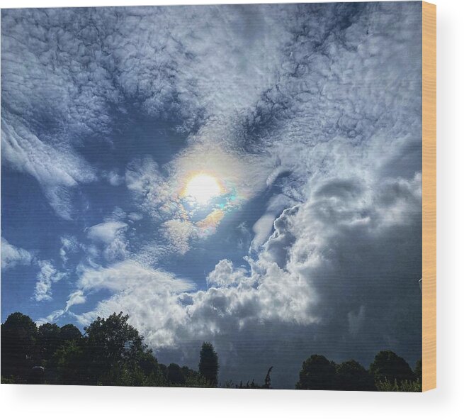 Sun Wood Print featuring the photograph After rain the Sun by Colette V Hera Guggenheim
