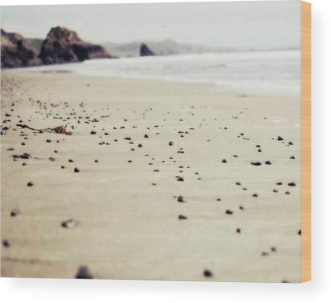 Beach Wood Print featuring the photograph All This Time by Lupen Grainne