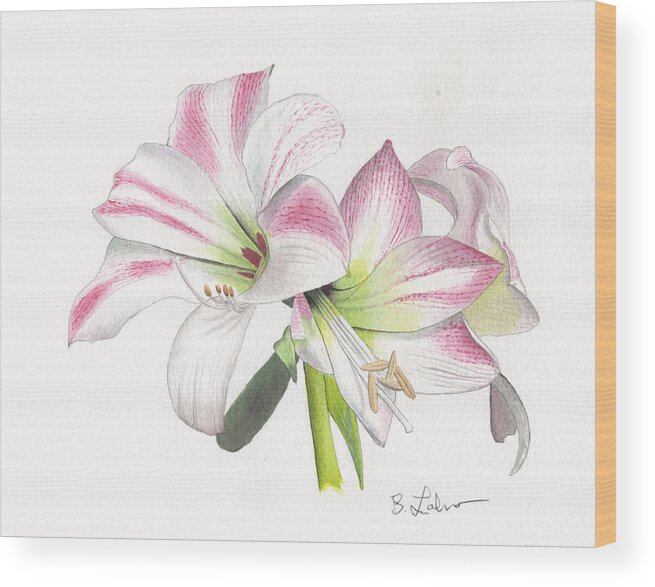 Amaryllis Watercolor Wood Print featuring the painting Amaryllis by Bob Labno