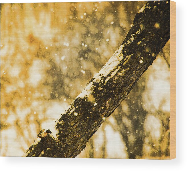 Winter Scene Wood Print featuring the photograph Amber Snow by Simone Hester