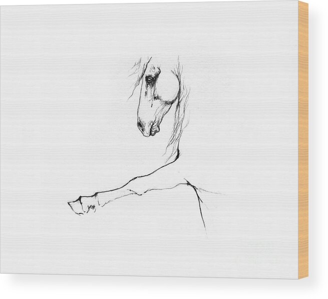 Horse Wood Print featuring the drawing Andalusian horse portrait 2014 05 16 c by Ang El