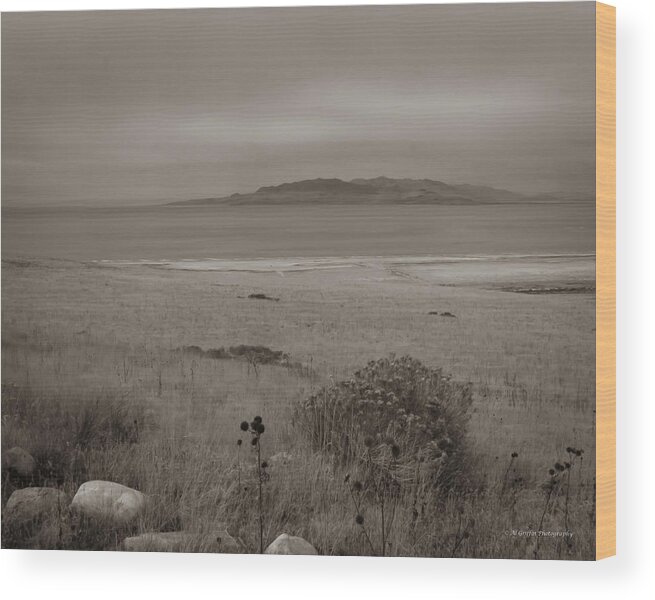 Antalope Island Wood Print featuring the photograph Antelope Island in Sepia by Al Griffin