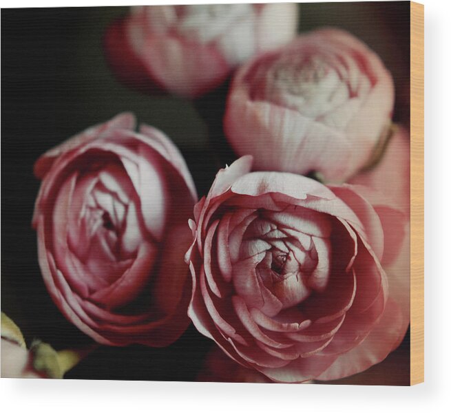 Pink Flowers Wood Print featuring the photograph Antique Pink by Lupen Grainne