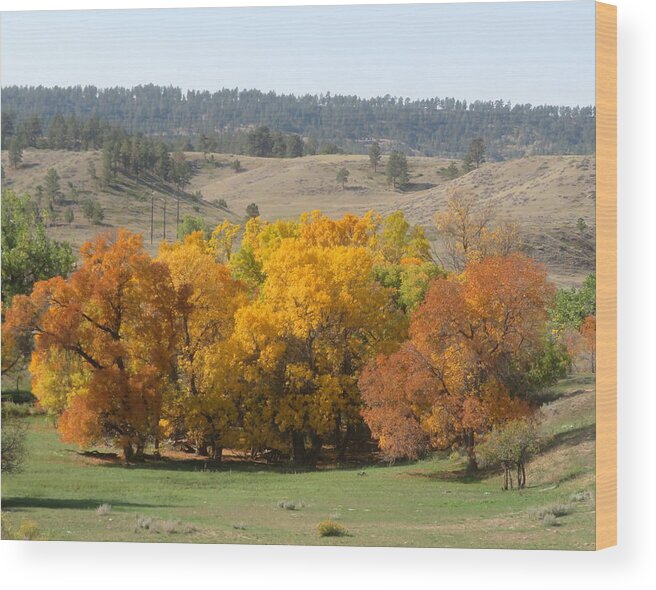Autumn Wood Print featuring the photograph Autumn Color by Katie Keenan