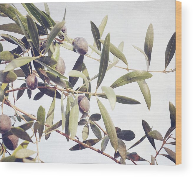 Olive Tree Wood Print featuring the photograph Autumn Olives by Lupen Grainne
