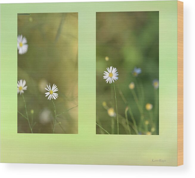 Bloom Wood Print featuring the photograph Baby's breath by Phil And Karen Rispin