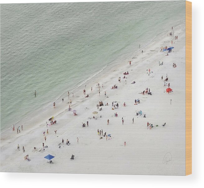 Beach Wood Print featuring the photograph Beach Day Marco Island by Karen Lynch