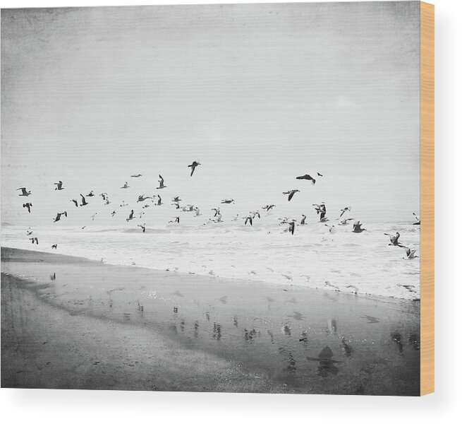 Ocean Wood Print featuring the photograph Birds Reflected by Lupen Grainne