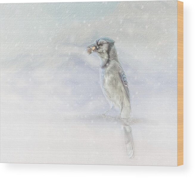 Blue Jay Wood Print featuring the photograph Blue Jay With Acorn in Snow by Marjorie Whitley