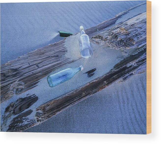 Beach Combing Wood Print featuring the photograph Bottles on Driftwood by Robert Potts