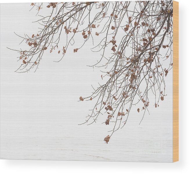 Bosque Del Apache Wood Print featuring the photograph Branches by Maresa Pryor-Luzier