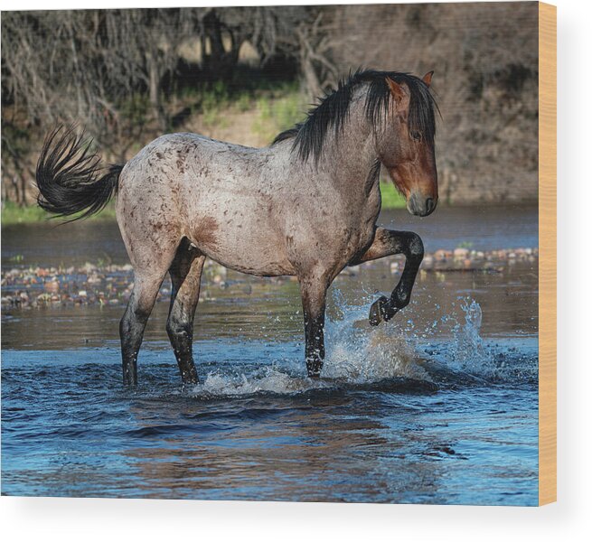 Wild Horses Wood Print featuring the photograph Bring it by Mary Hone
