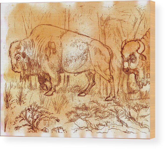 Buffalo Trail Wood Print featuring the drawing Buffalo Trail by Larry Campbell