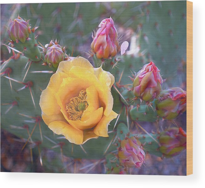 Multicolored Wood Print featuring the mixed media Buttery Cactus Blossom 14 by Lynda Lehmann