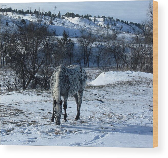 Horse Wood Print featuring the photograph Camouflage by Katie Keenan