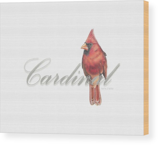 Cardinal Wood Print featuring the drawing Cardinal - Male Northern Cardinal by Karrie J Butler