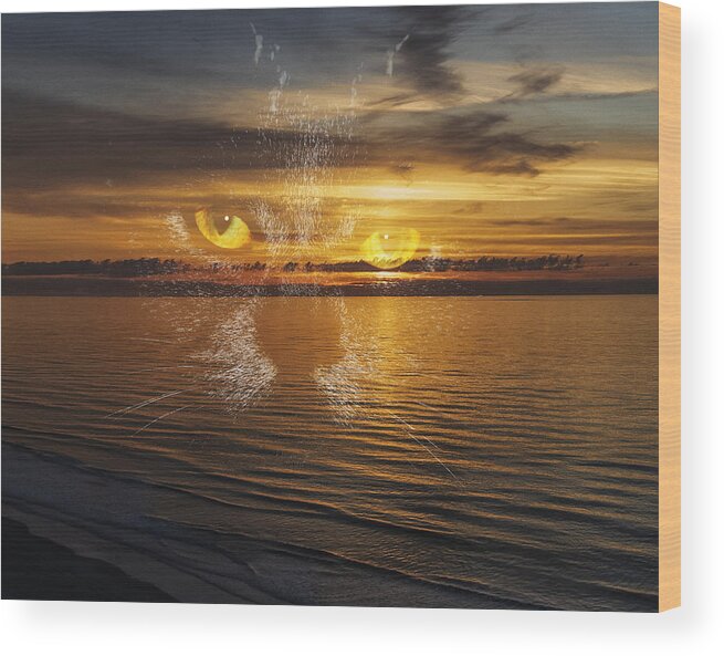 Cat Wood Print featuring the photograph Cat and beach by Cathy Harper