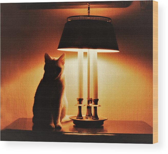 Cat Lamp Desk Light Shadow Wood Print featuring the photograph Cat Lamp by John Linnemeyer