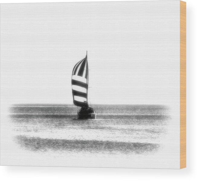 Catamaran Wood Print featuring the photograph Catamaran by James DeFazio