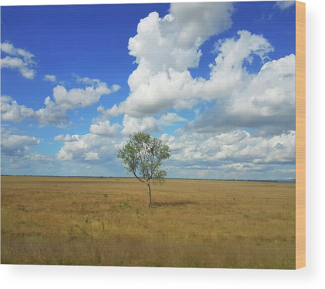 Tree Wood Print featuring the photograph Clouds over a Lone Tree by Andre Petrov