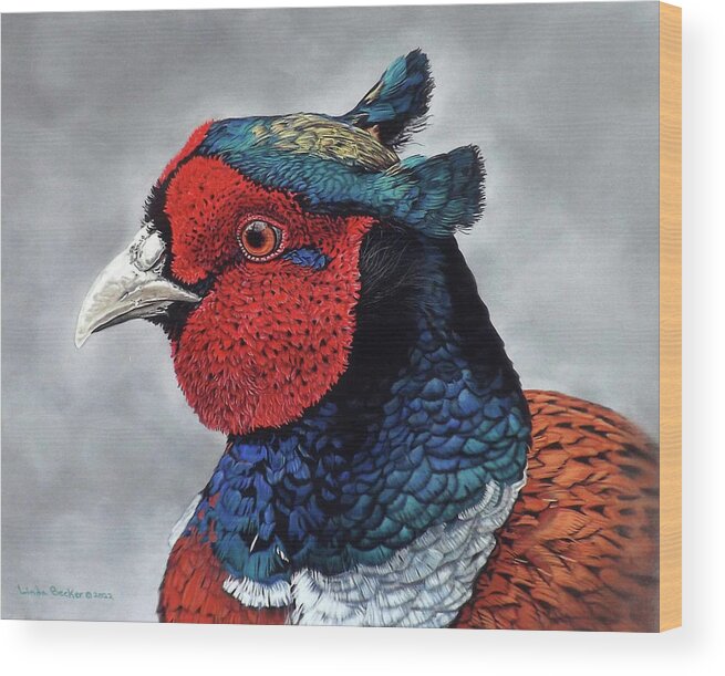 Pheasant Wood Print featuring the painting Cocky by Linda Becker