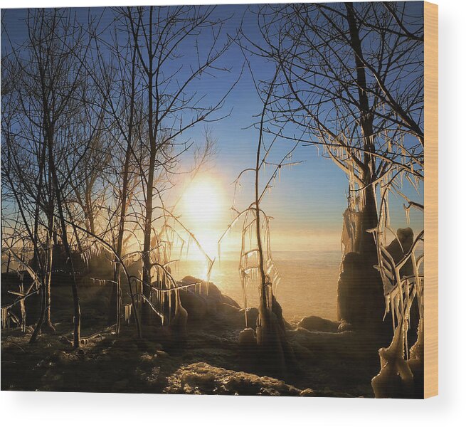 Cold Wood Print featuring the photograph Cold Lake Michigan II by Scott Olsen
