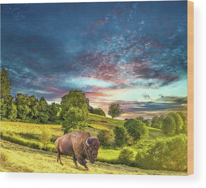 Bison Wood Print featuring the digital art Comeback Trail by Norman Brule