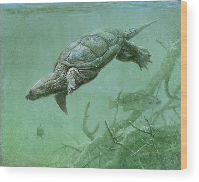 Barry Kent Mackay Wood Print featuring the painting Common Snapping Turtle by Barry Kent MacKay