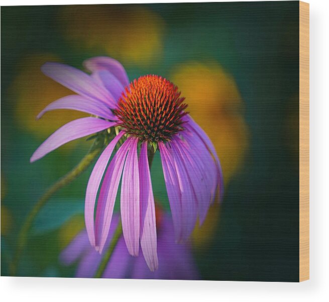 Beautiful Wood Print featuring the photograph Coneflower by Susan Rydberg