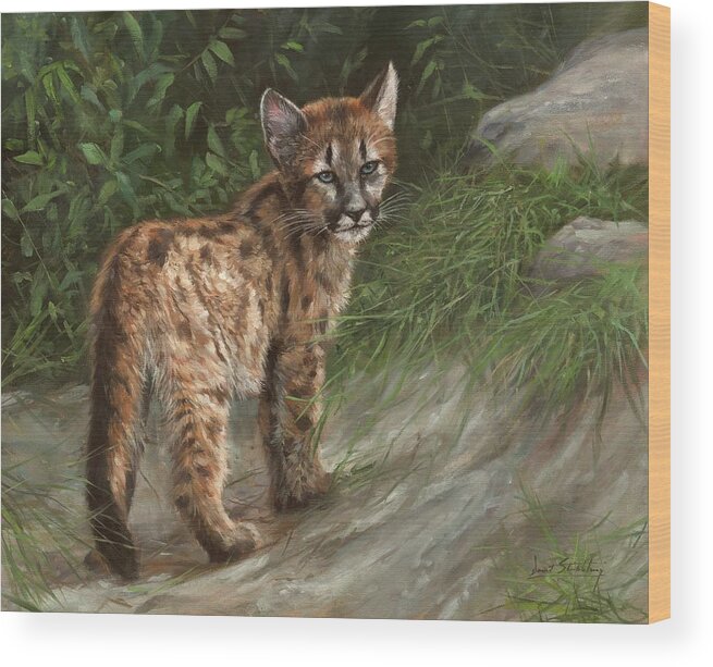 Cougar Wood Print featuring the painting Cougar Cub by David Stribbling