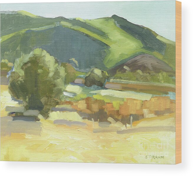 Mountain Wood Print featuring the painting Deer Springs - Escondido, California by Paul Strahm