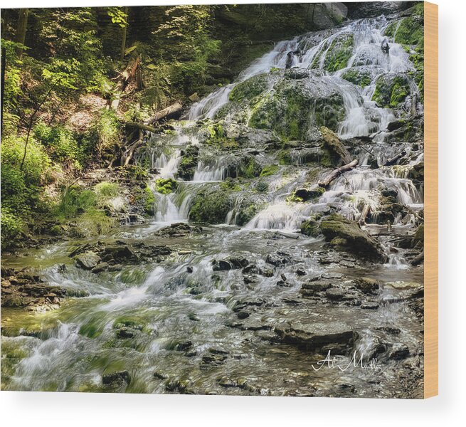 Dunning Wood Print featuring the photograph Dunnings Spring Falls by Al Mueller