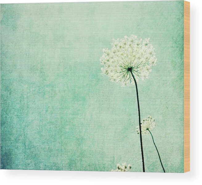 Queen Anne's Lace Wood Print featuring the photograph Efflorescence by Lupen Grainne