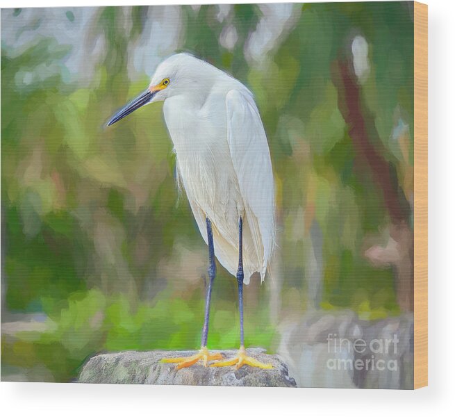 Everglades Birds Wood Print featuring the painting Egret Under the Palms Edition 2 by Judy Kay