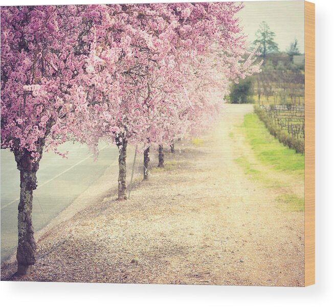 Cherry Tree Wood Print featuring the photograph Eternal Spring by Lupen Grainne