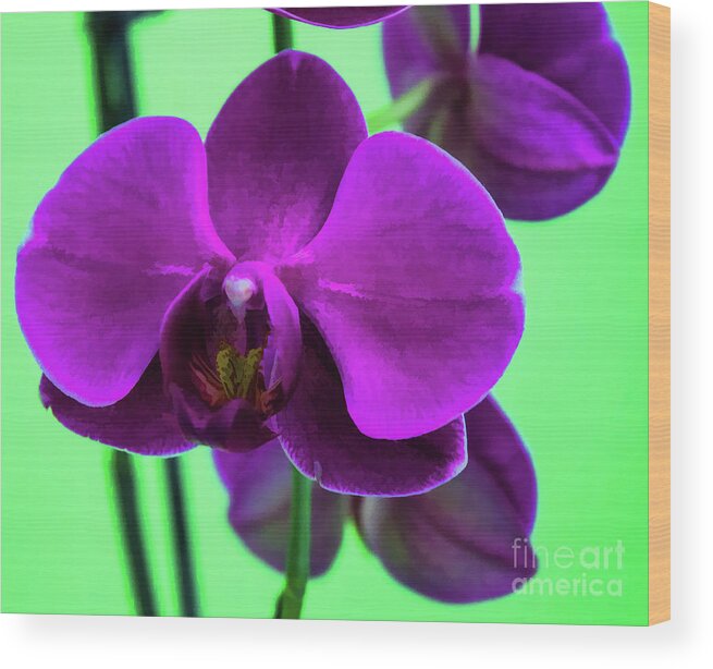 Exposed Wood Print featuring the photograph Exposed Orchid by Roberta Byram