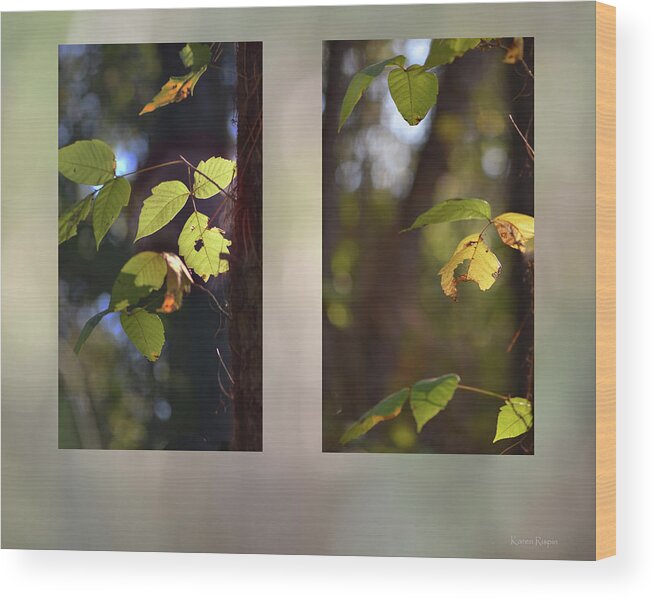 Plant Wood Print featuring the photograph Fall Poison Ivy by Phil And Karen Rispin