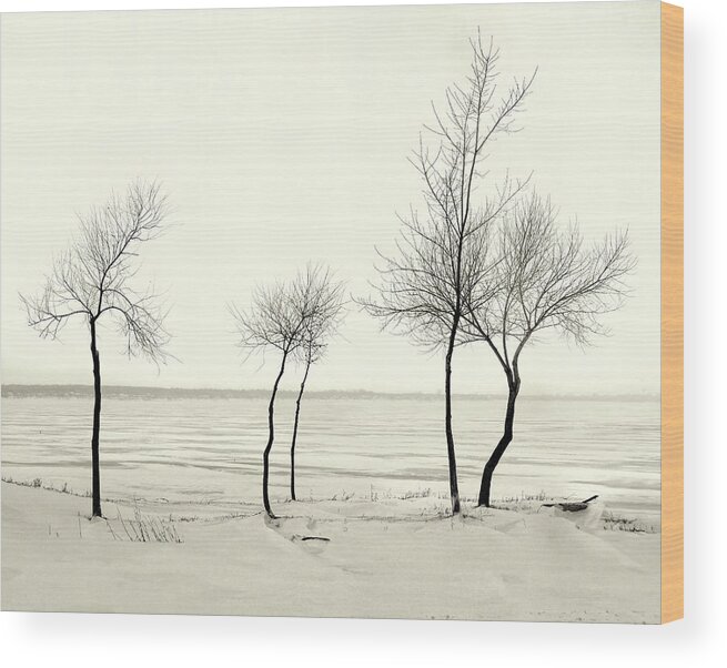 Lake Wood Print featuring the photograph Five Lone Trees - Caseville, Michigan USA - by Edward Shotwell